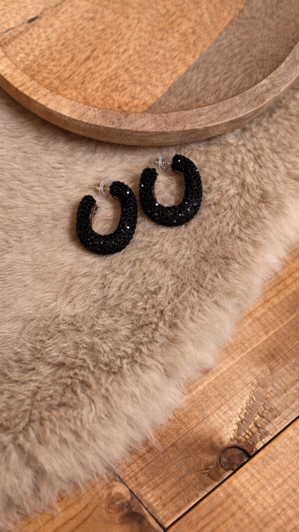 Oorbellen Black Sparkle – elegante oorbellen
